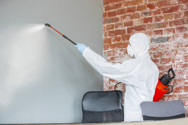 Trusted Greenwood Lake, NY Mold Removal Experts