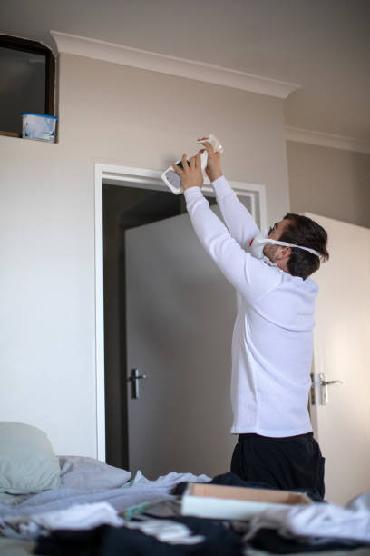 Best Environmental Consulting for Mold Prevention  in Greenwood Lake, NY